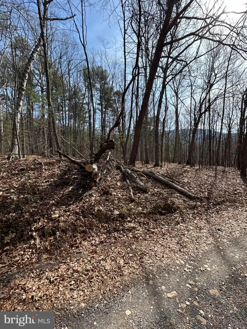 301 Abbotts Ln, Rileyville, VA 22650 - #3