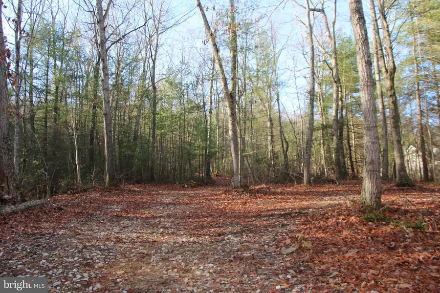 Valley Burg Rd, Luray, VA 22835 - #2