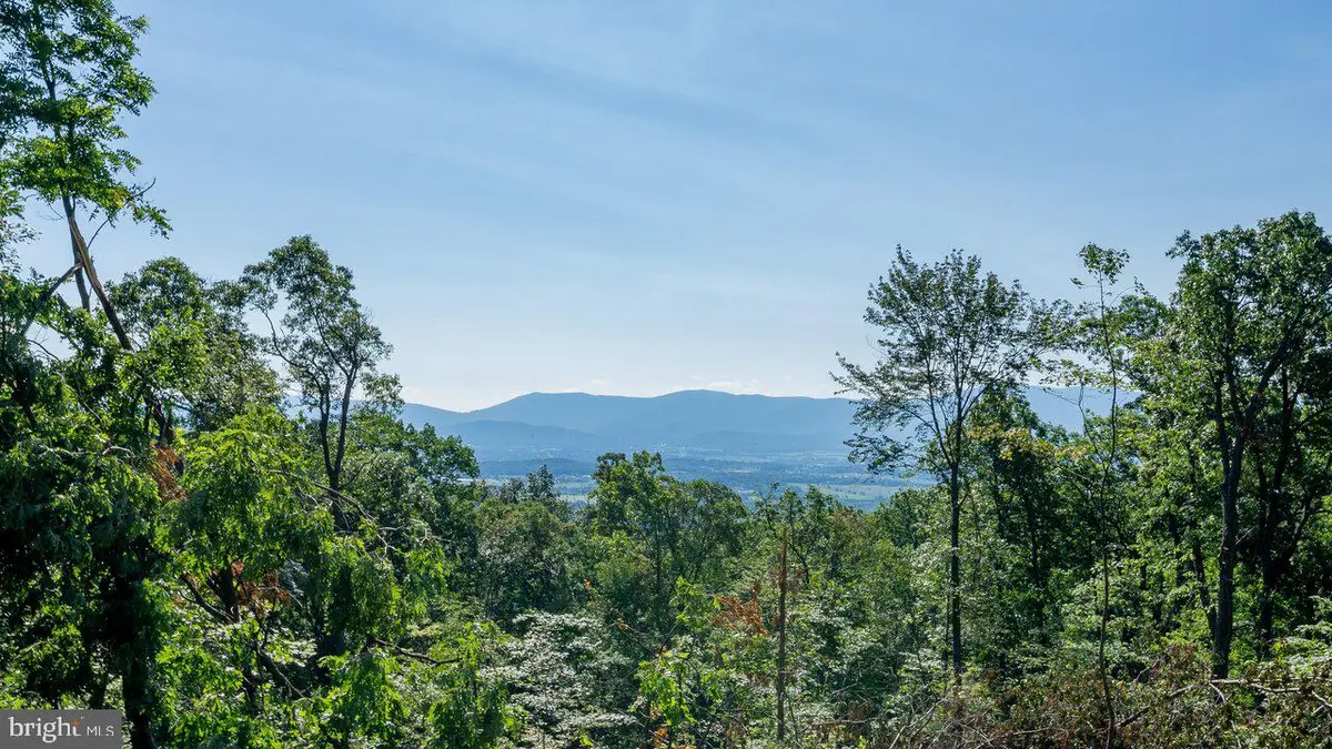 531 Forest Drive Ext, Luray, VA 22835 - #1