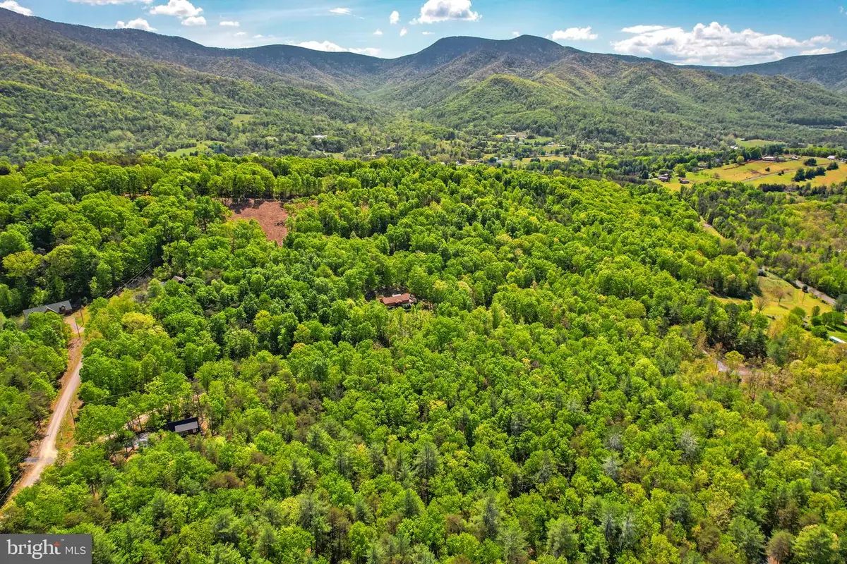 Lots A15 & A16 Holiday Hill Road, Luray, VA 22835 - #1