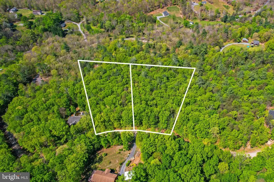 Lots A15 & A16 Holiday Hill Road, Luray, VA 22835 - #2