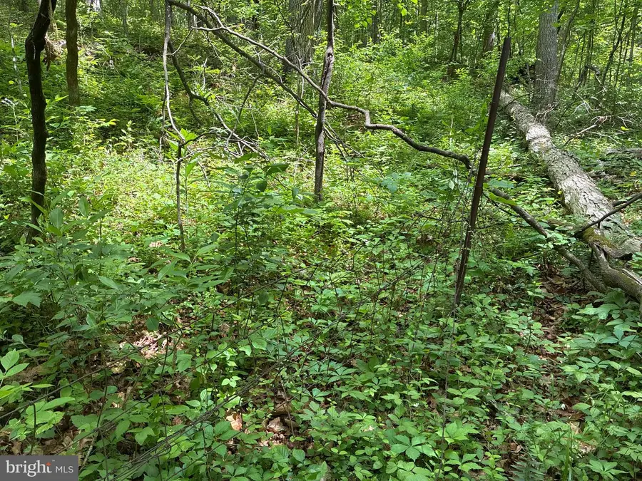 Lot 2 Beylors Ferry, Rileyville, VA 22650 - #2