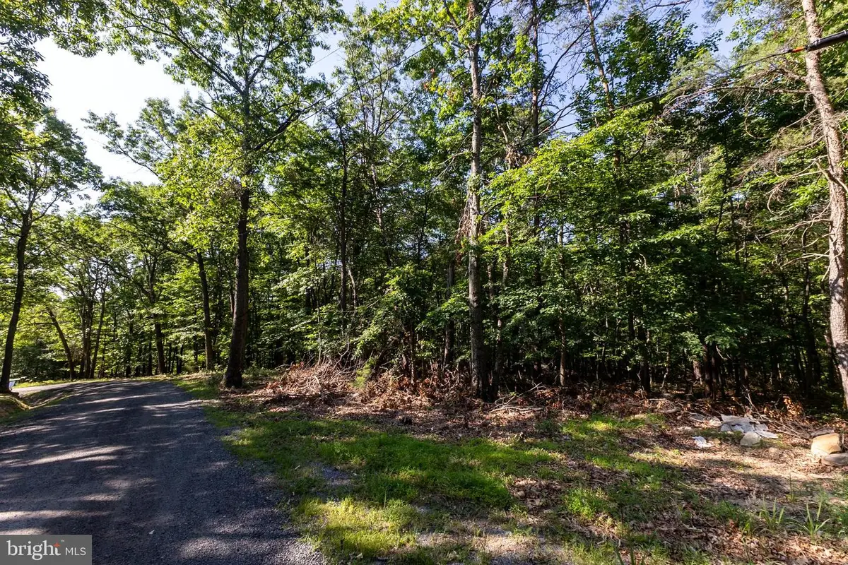 Panorama View Dr., Stanley, VA 22851 - #1