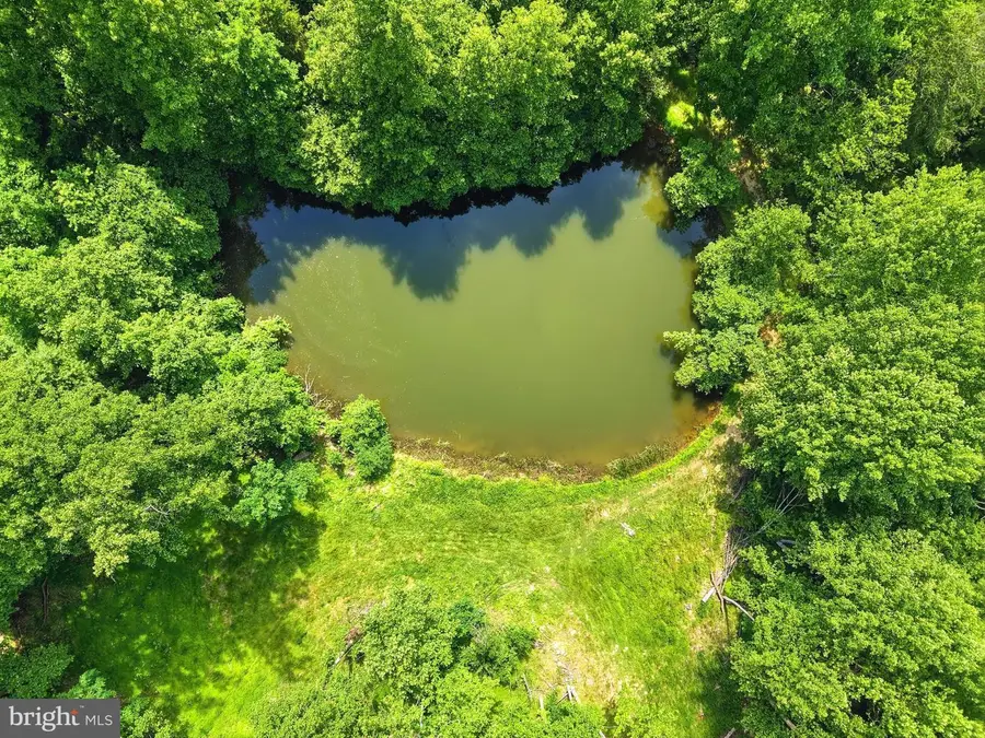 Jordan Hollow Rd, Stanley, VA 22851 - #2