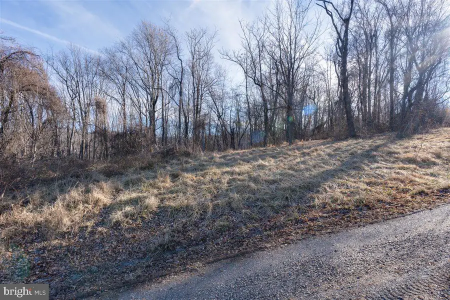 Tbd Overlook Mountain Rd, Elkton, VA 22827 - #2