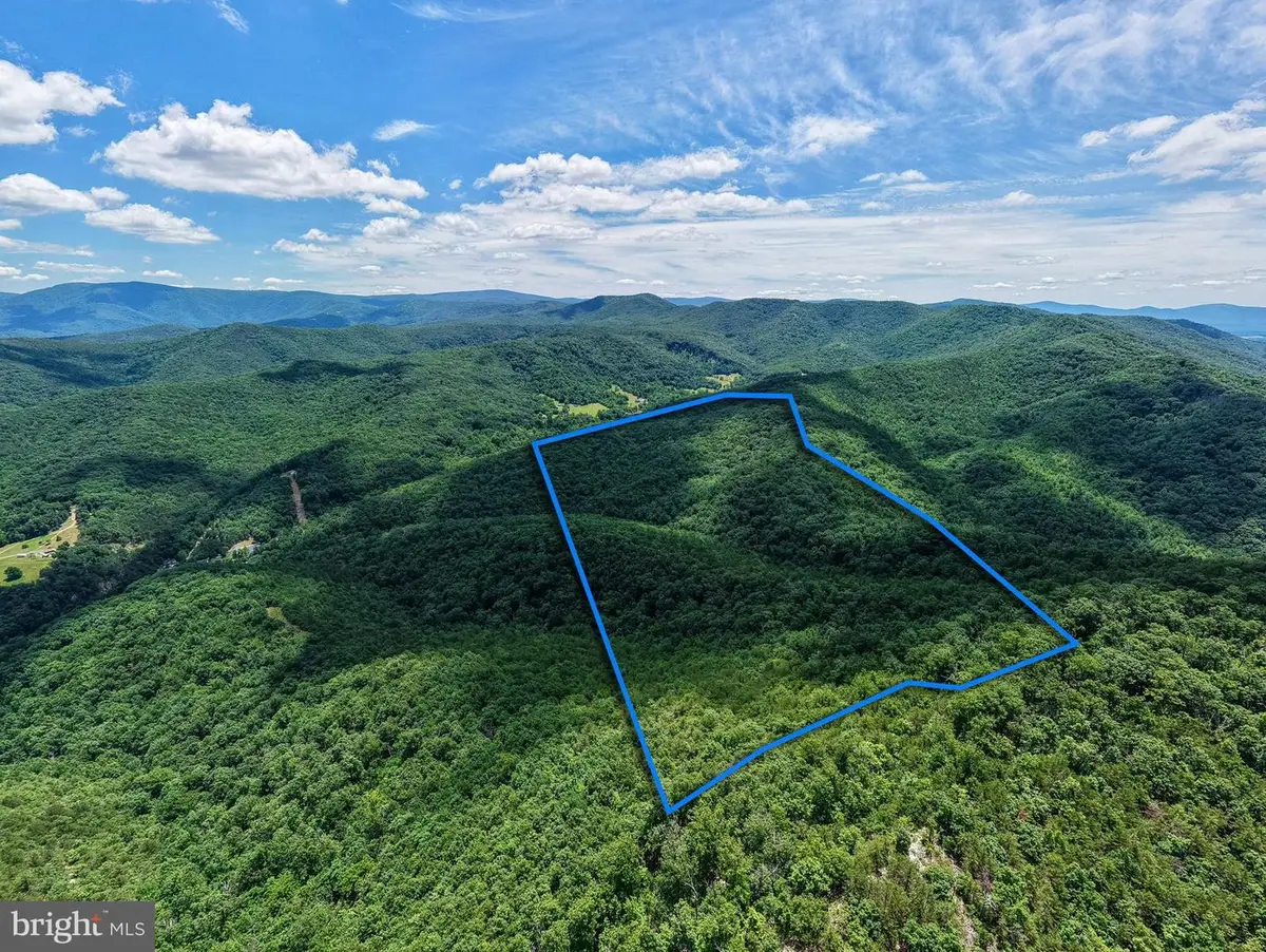 0 Dovel Hollow Rd, Stanley, VA 22851 - #1