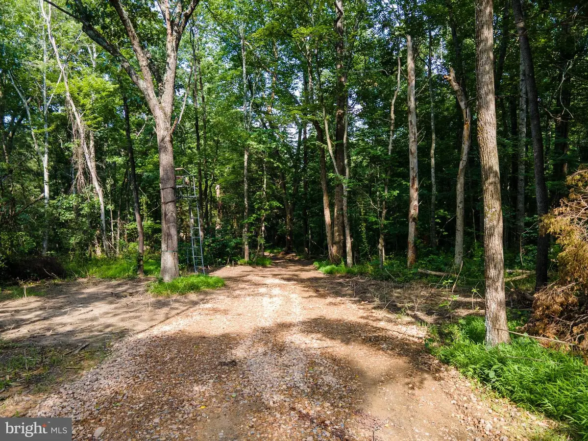 Us Hwy 340 S, Stanley, VA 22851 - #1