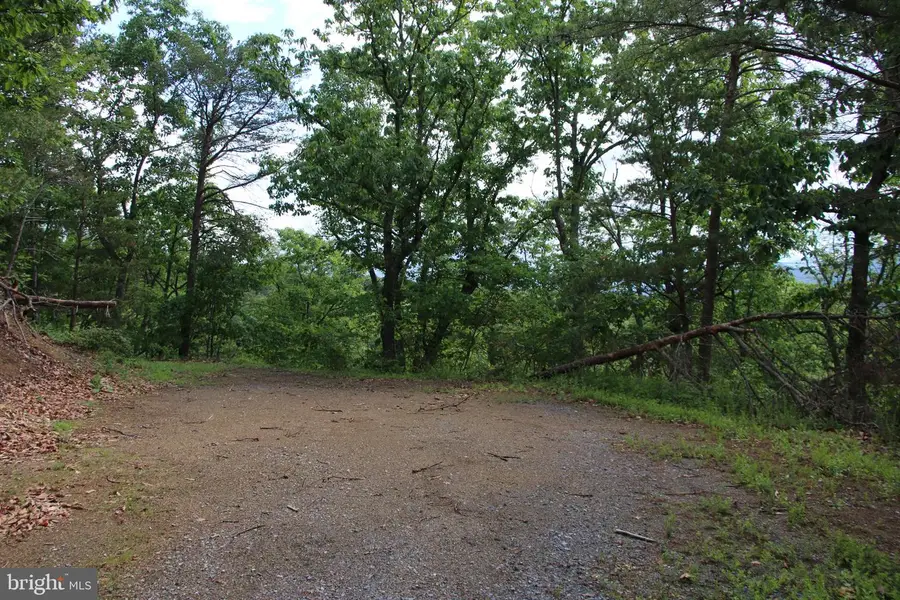 Lighthouse Ln, Shenandoah, VA 22849 - #3