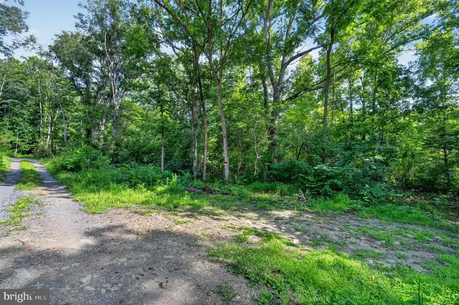 Greenway Ln, Luray, VA 22835 - #2