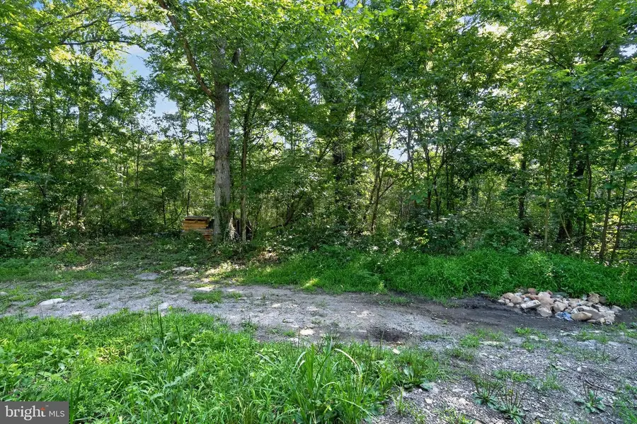 Greenway Ln, Luray, VA 22835 - #3