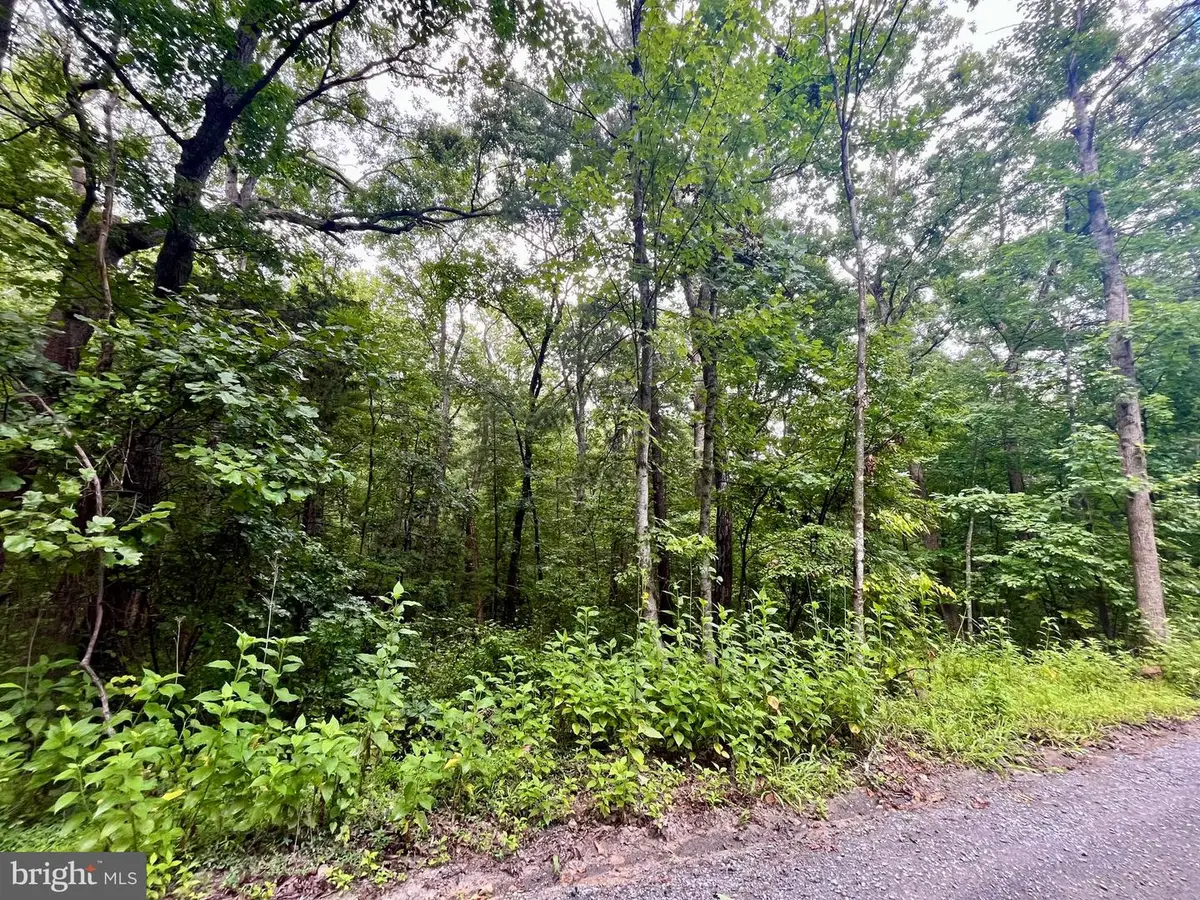 Forest Drive, Luray, VA 22835 - #1