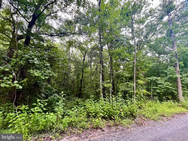 Forest Drive, LURAY, VA 22835