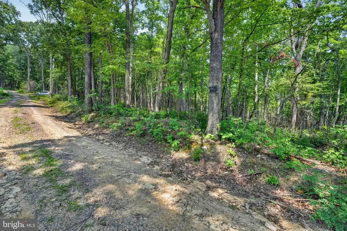 Indian Trail Rd, Luray, VA 22835 - #1