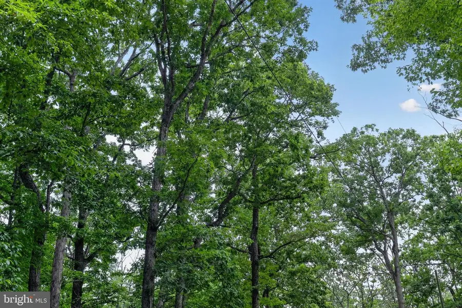 Indian Trail Rd, Luray, VA 22835 - #2