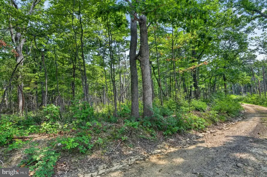 Indian Trail Rd, Luray, VA 22835 - #3