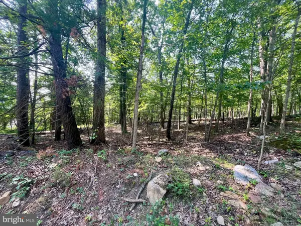 Cross Creek, LURAY, VA 22835