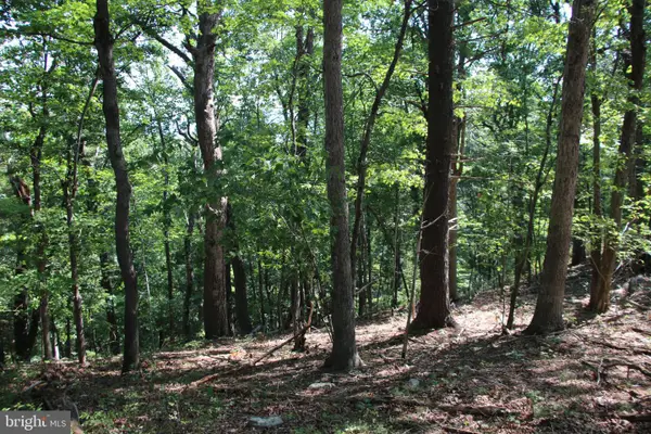 0 Lookout Dr, SHENANDOAH, VA 22849