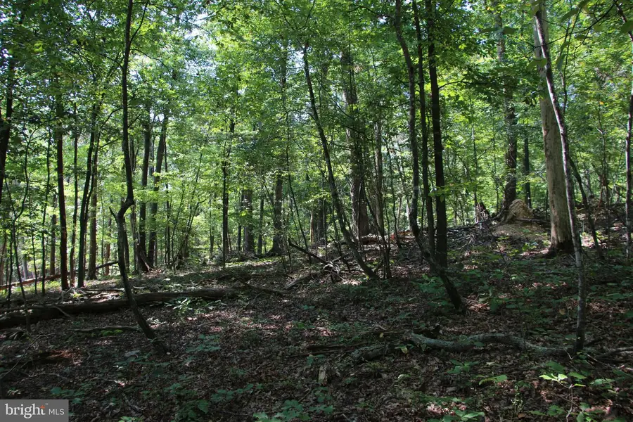 0 Lookout Dr, Shenandoah, VA 22849 - #2