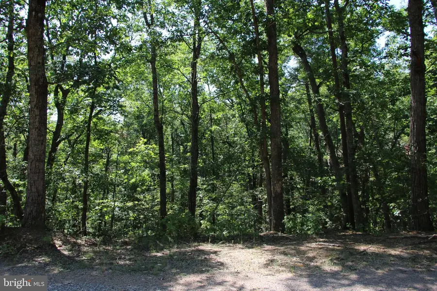 0 Lookout Dr, Shenandoah, VA 22849 - #3