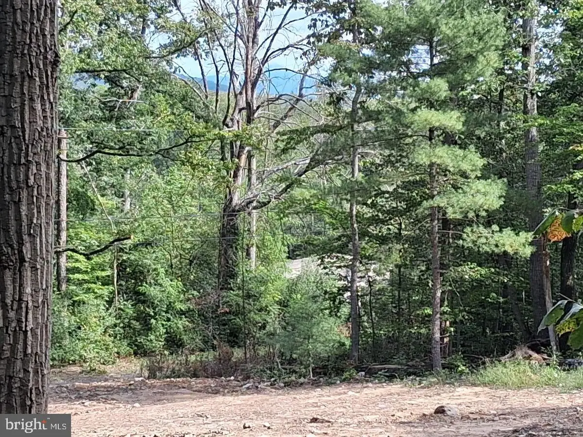 22 Oak Ln, Luray, VA 22835 - #1