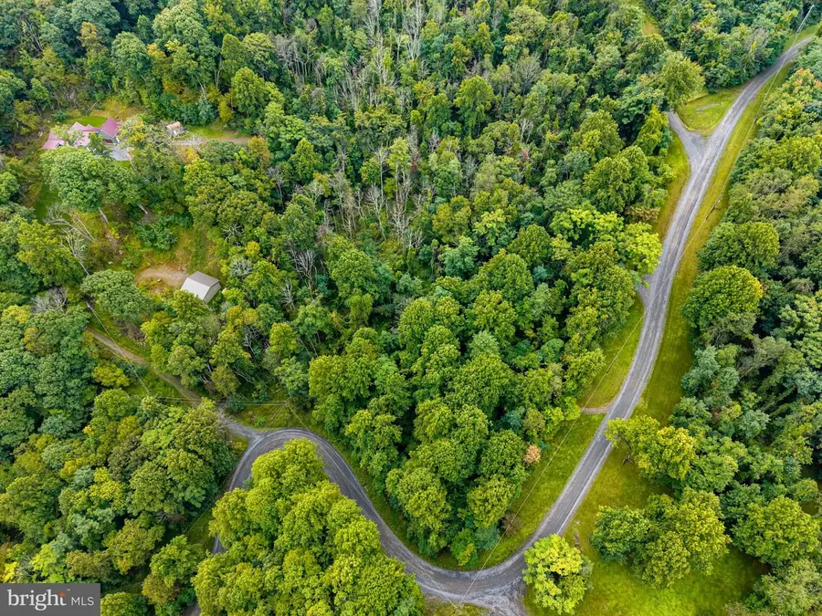 Park Line Rd, Stanley, VA 22851 - #2