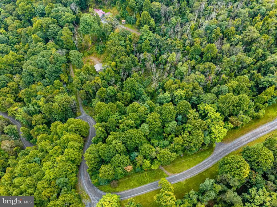 Park Line Rd, Stanley, VA 22851 - #3