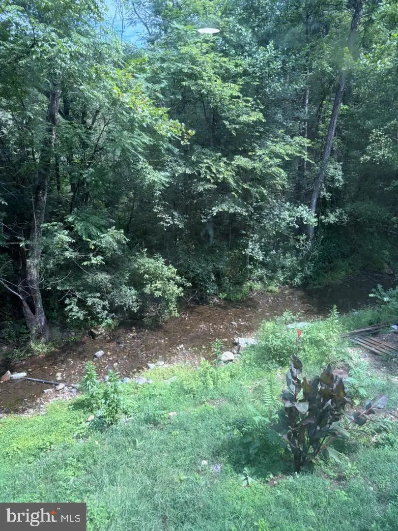 115 Overall Rd, Bentonville, VA 22610 - #2