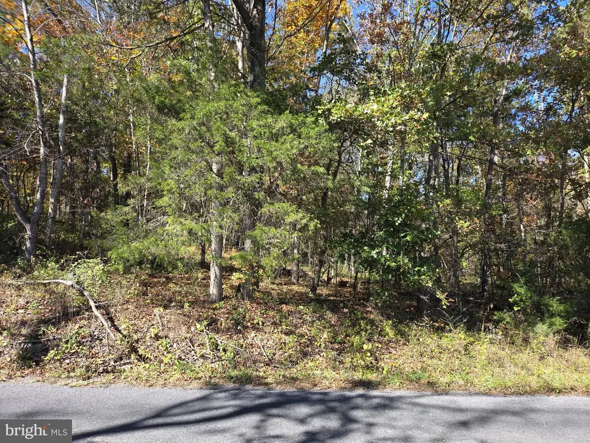 0 N Egypt Bend Rd, Luray, VA 22835 - #1