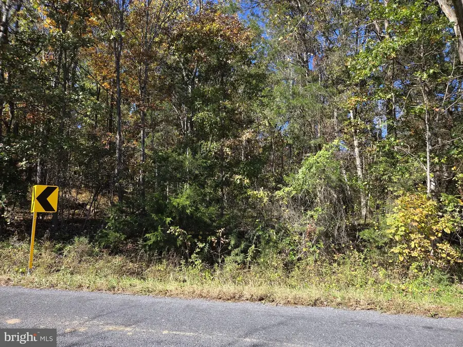 0 N Egypt Bend Rd, Luray, VA 22835 - #2