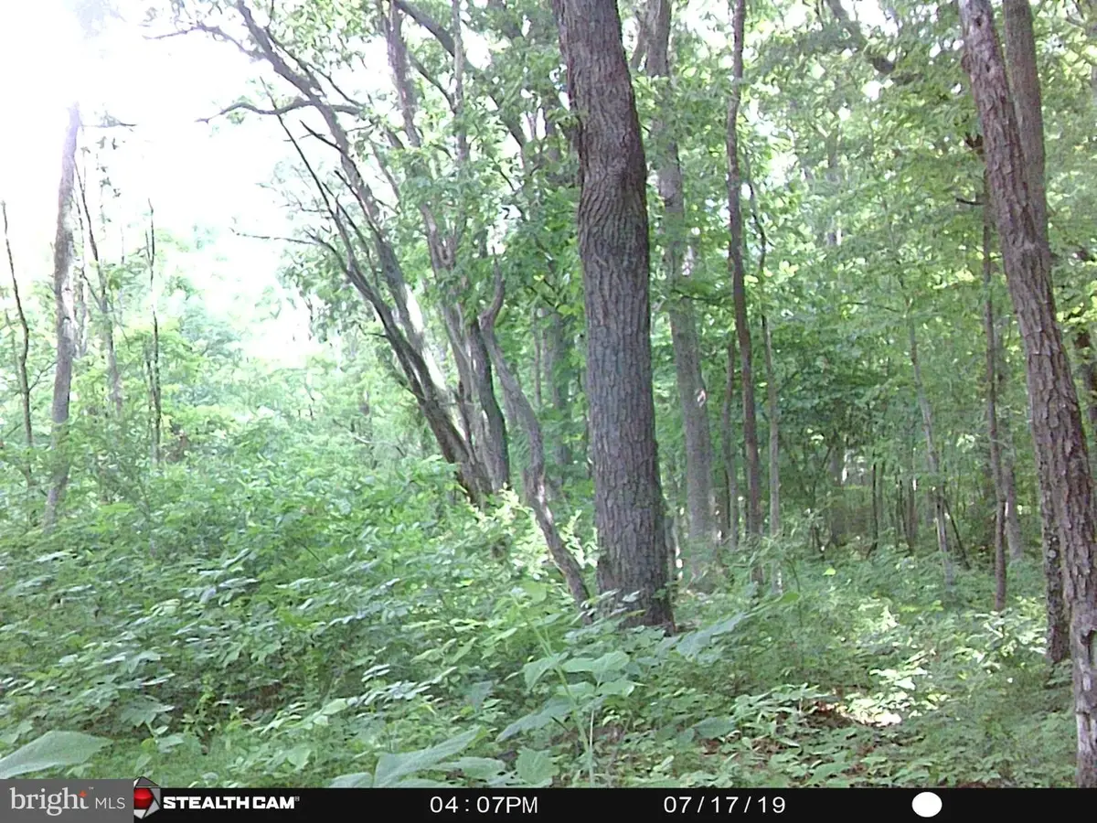 Valley View Rd, Rileyville, VA 22650 - #1