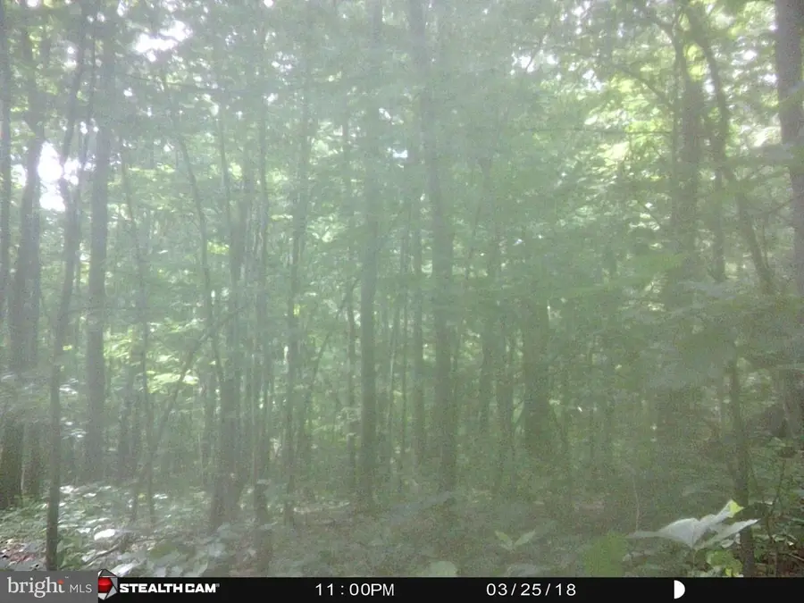 Valley View Rd, Rileyville, VA 22650 - #3