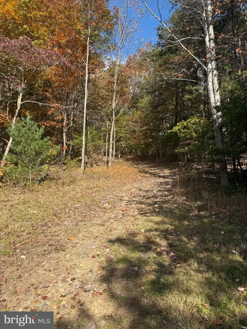 Lot 4 Grindstone Mountain View Road, Elkton, VA 22827 - #3