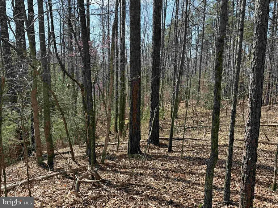 Water Oak Road (tract: C119 Wingfield), Dry Fork, VA 24549 - #2