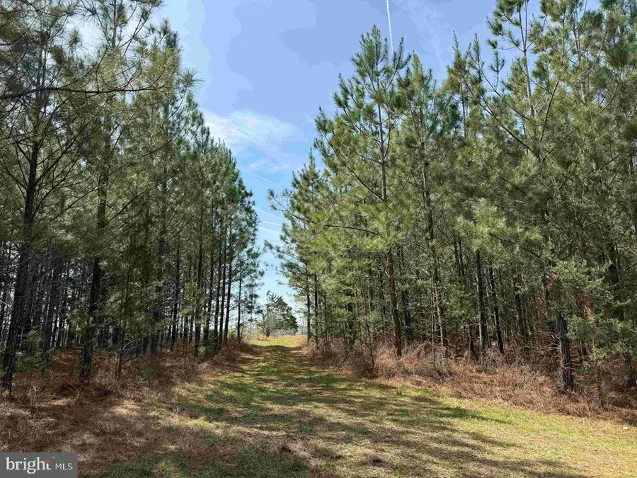 Water Oak Road (tract: C119 Wingfield), Dry Fork, VA 24549 - #3