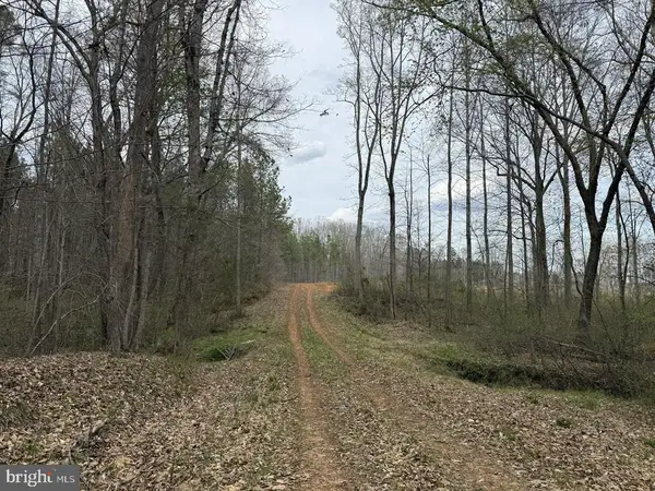 Dodson Road (tract: C117 Adams-thompson), BLAIRS, VA 24527