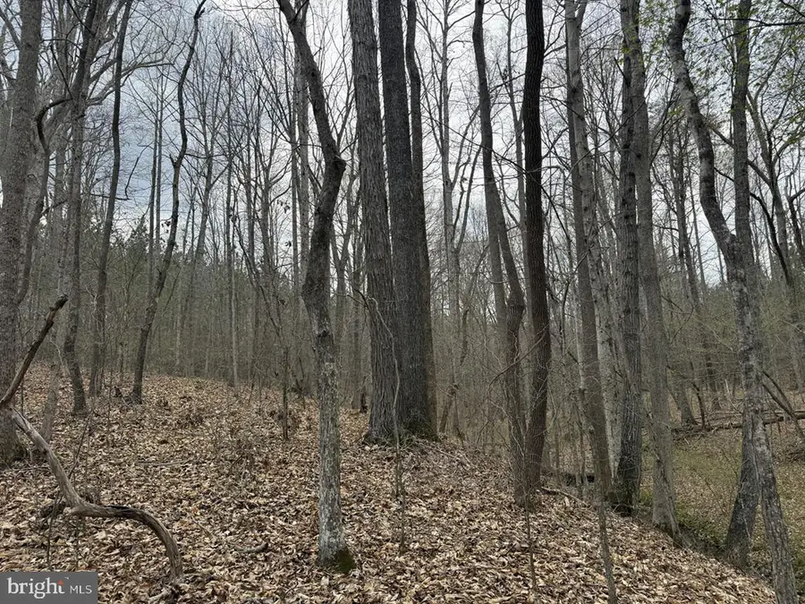 Dodson Road (tract: C117 Adams-thompson), Blairs, VA 24527 - #3