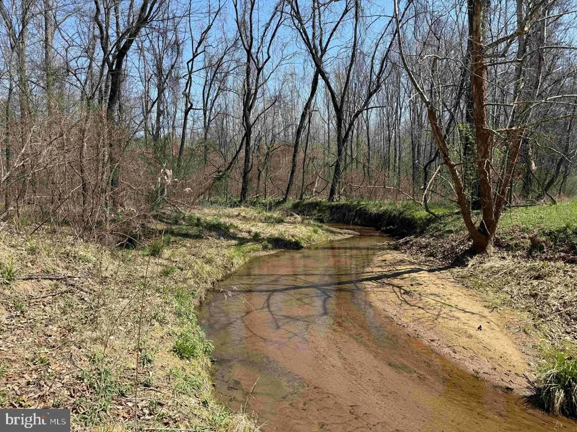 Dabney House Road (tract: Pittsylvania Compton-3), Java, VA 24565 - #1