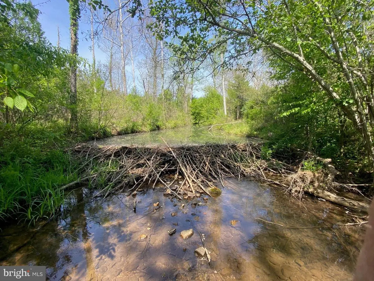 Tbd Grassland #8a, Sandy Level, VA 24161 - #1