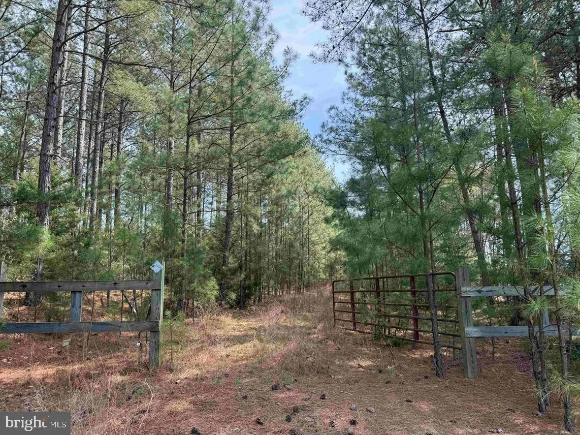 Bearskin Road (tract: Reynolds A-1), Chatham, VA 24531 - #1