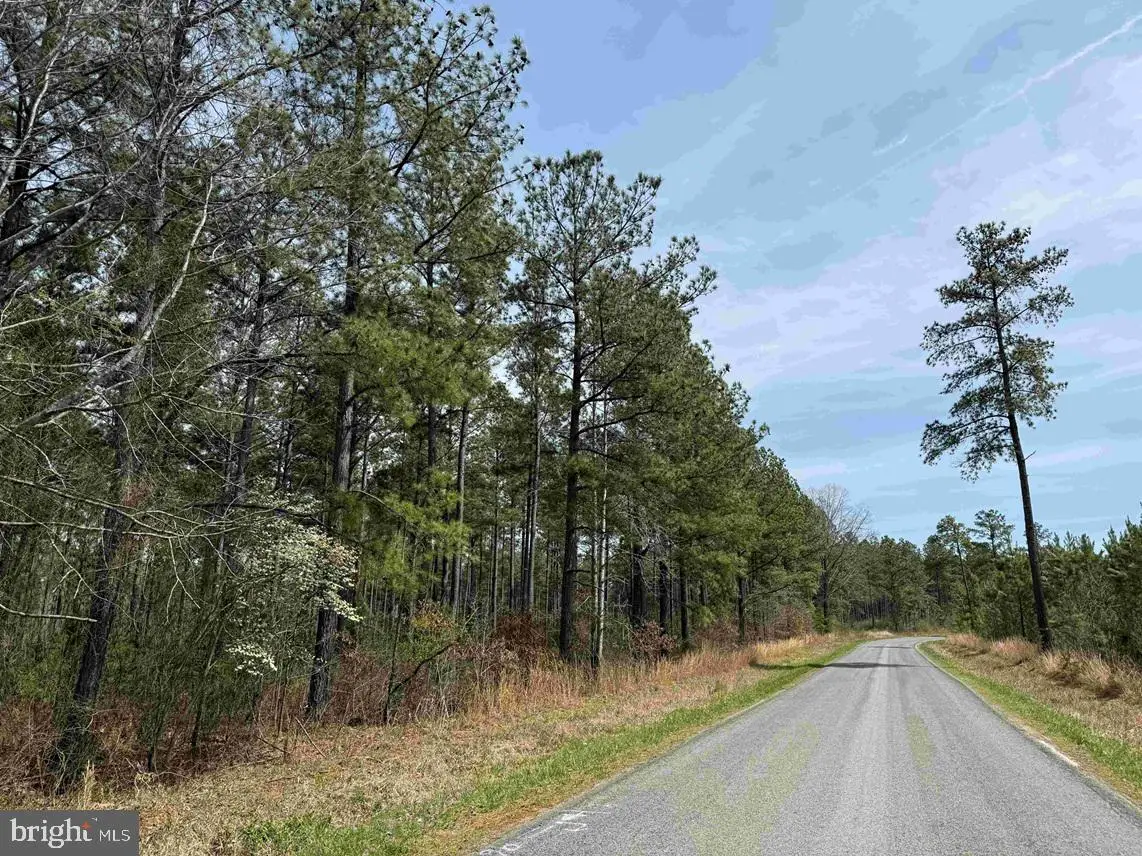 S. Flint Hill Road (rt. 829)(tract: Reynolds A-2), Chatham, VA 24531 - #1