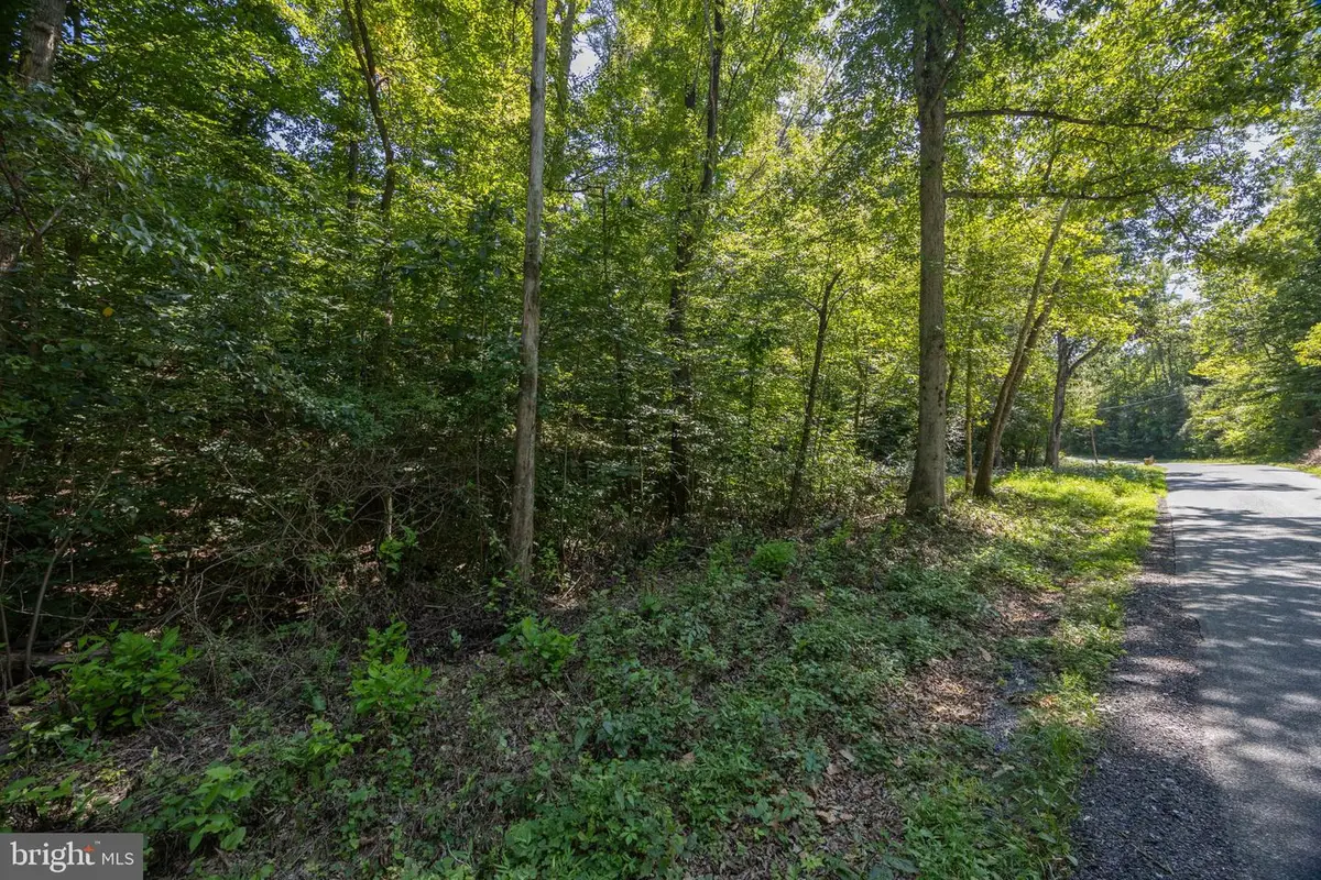 Tbd Grassland #6a, Sandy Level, VA 24161 - #1