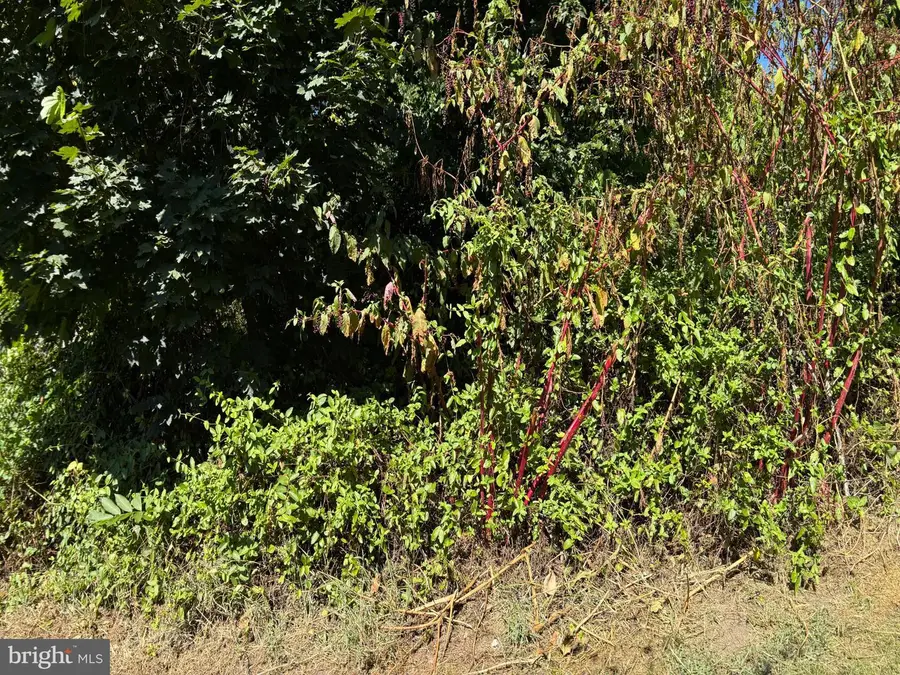 214 2nd Ave, Quantico, VA 22134 - Image #3