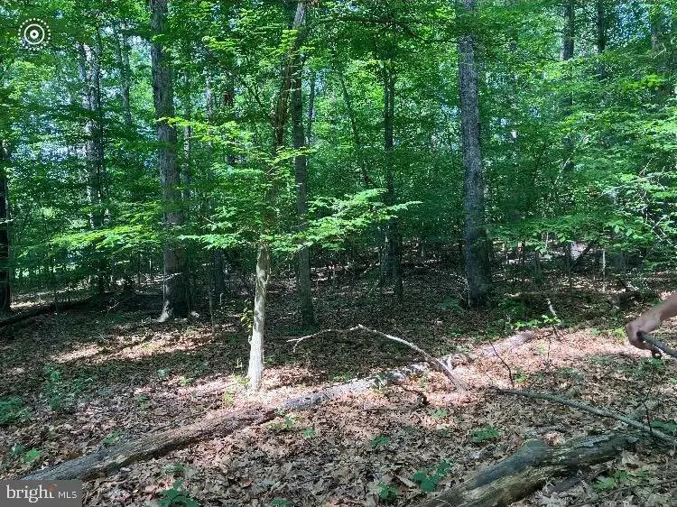 9343 Troy Dr, Nokesville, VA 20181 - Image #2