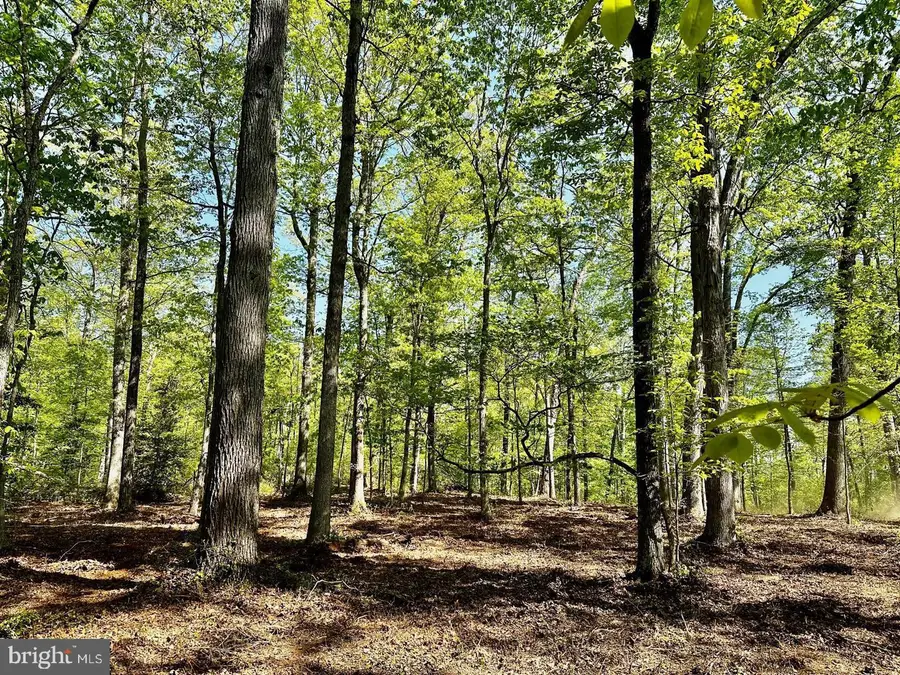 9343 Troy Dr, Nokesville, VA 20181 - Image #3