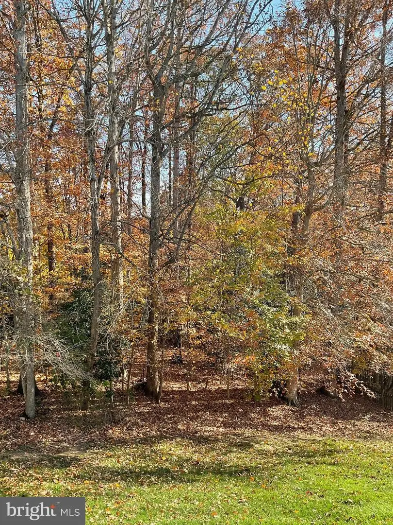 11819 Troika Ct, Woodbridge, VA 22192 - Image #3