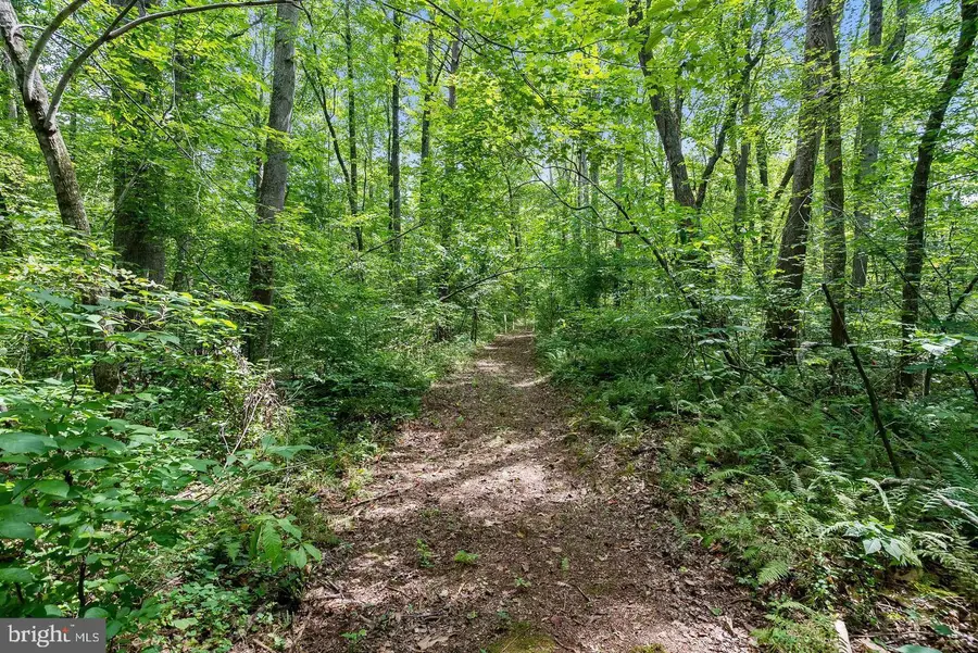 9671 Marlette Dr, Nokesville, VA 20181 - #3