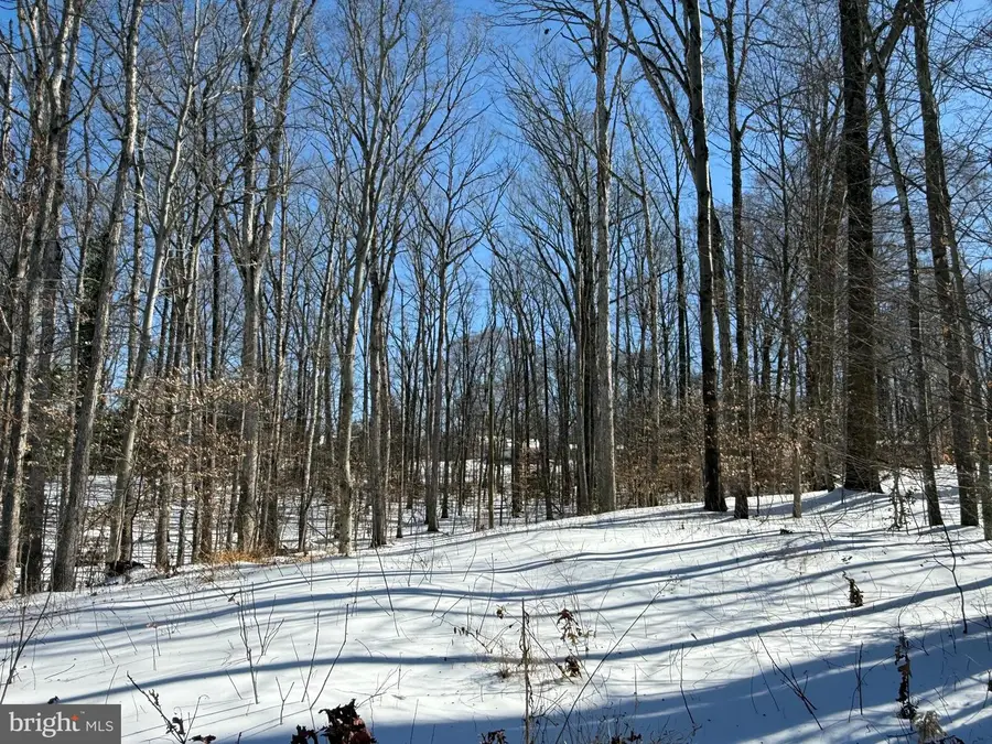 11713 Smithfield Rd, Manassas, VA 20112 - #2