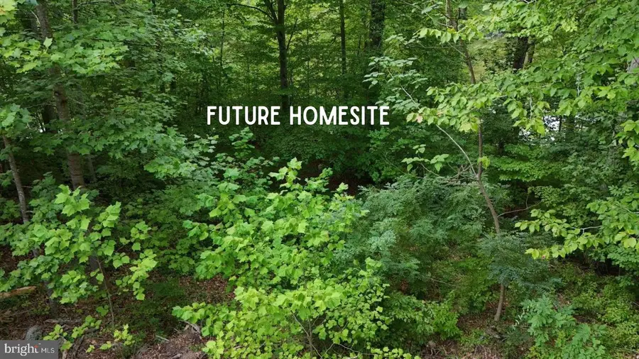 6170 Turkey Run Ct, Manassas, VA 20112 - #3