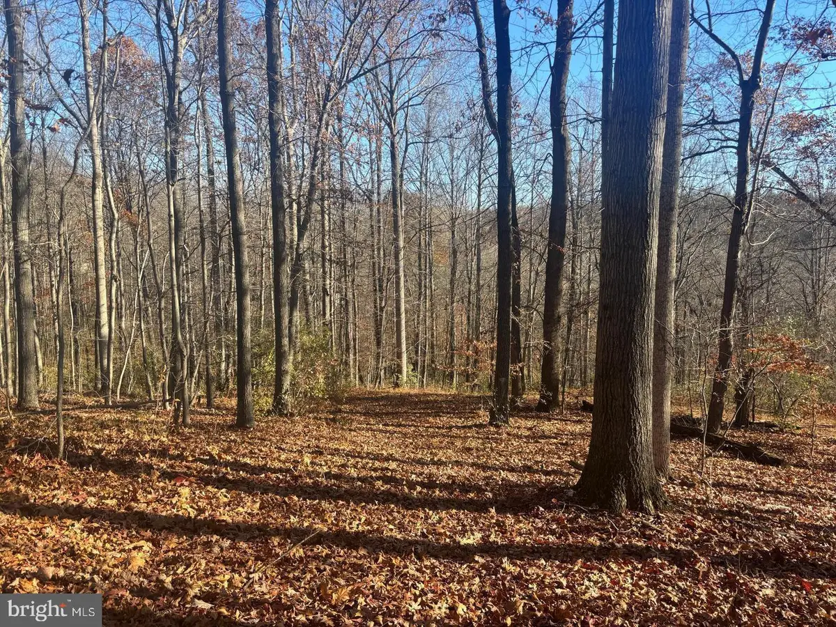 2412 Mountain Rd, Haymarket, VA 20169 - #1