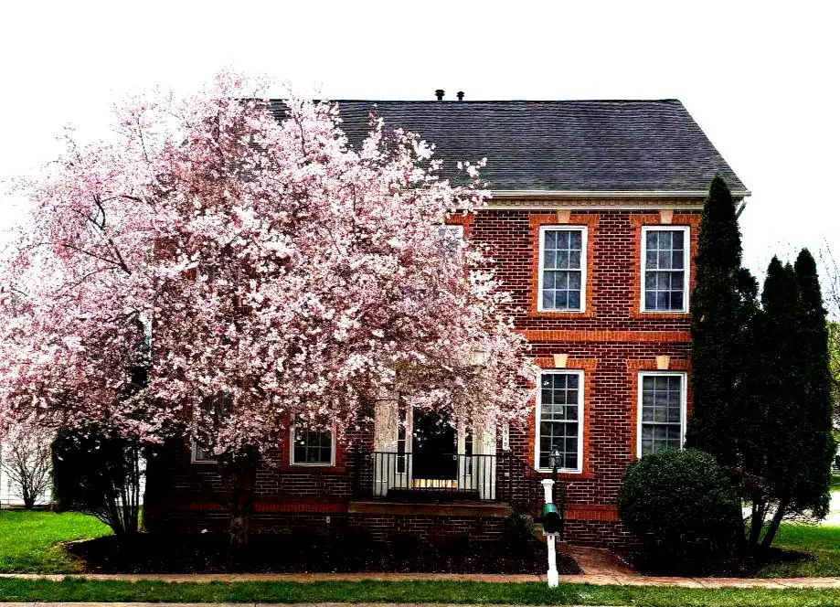 6910 Bitter Root Ct, Gainesville, VA 20155 - #1